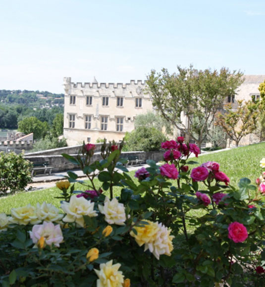 Musée du petit palais Avignon