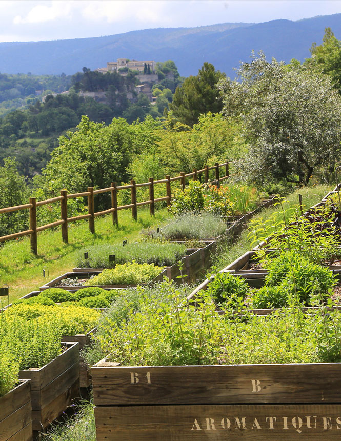 Jardin du Domaine de la Citadelle @ Hocquel A.