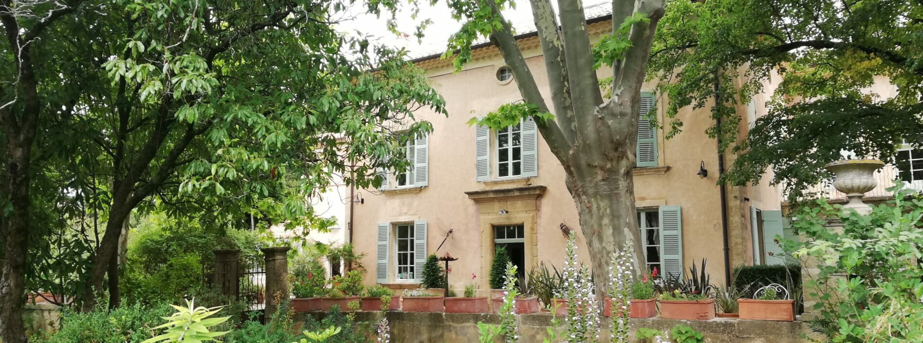 Bicentenaire de la naissance de JeanHenri Fabre Site Presse Tourisme