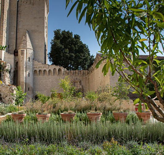 Les Jardins du Palais des Papes,  à Avignon