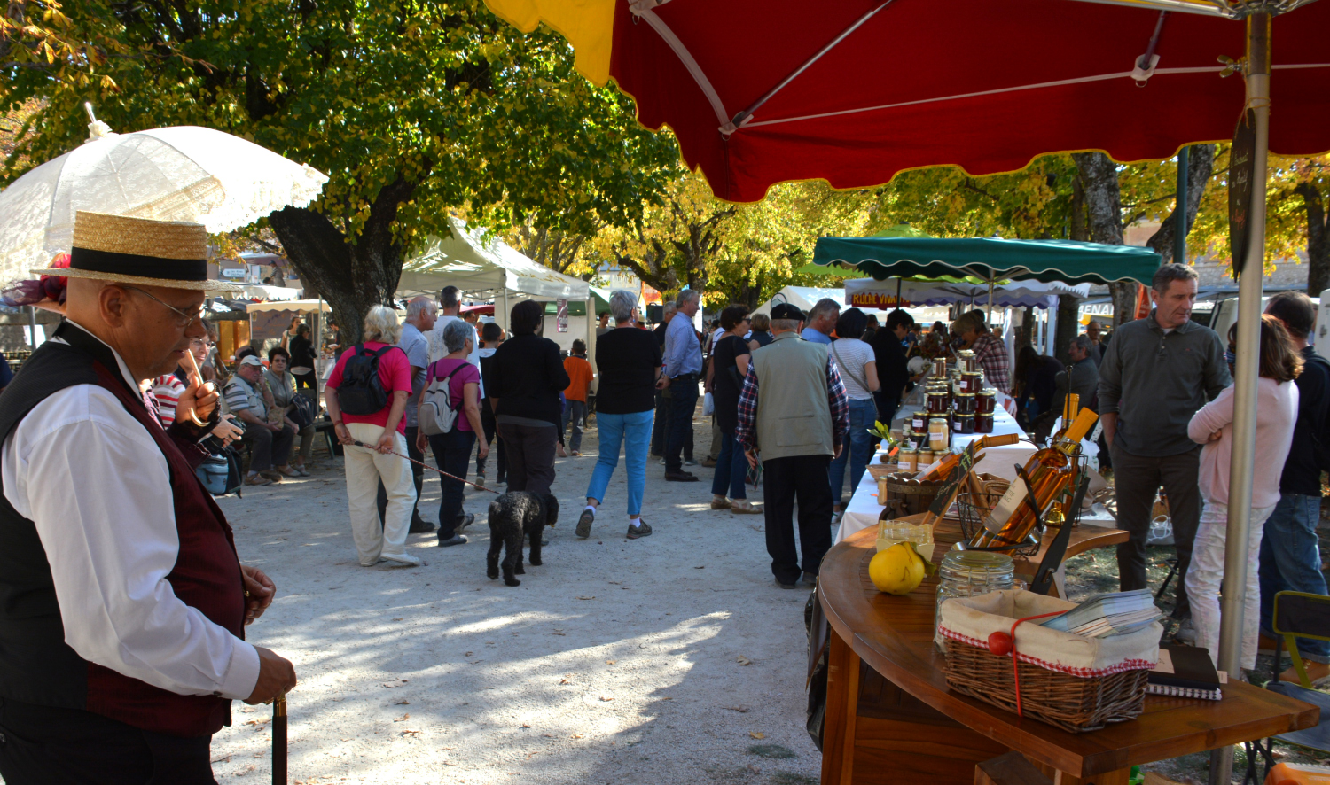 On fête les saveurs du Ventoux 