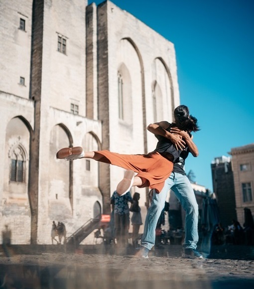 Avignon Terre de Culture